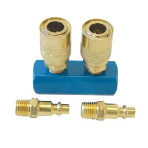 2 Outlet Manifold